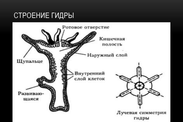 Black sprut blacksprut click