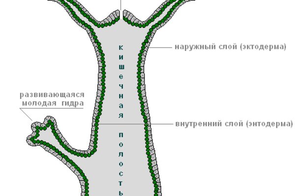 База блэкспрут с адресами bs2web top