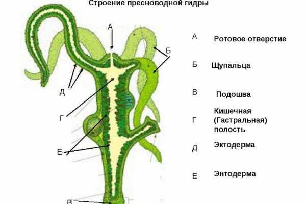 Блэкспрут площадка ссылка