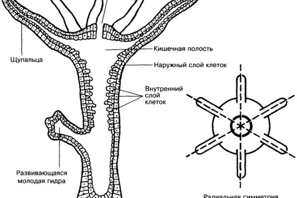 Блэк спрут blacksprul me